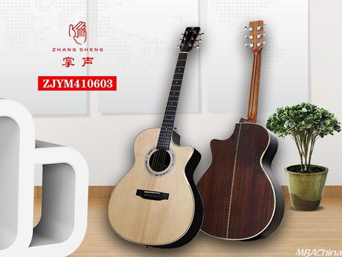 掌聲音樂器 以品牌戰(zhàn)略驅(qū)動(dòng)，布局千萬級(jí)市場新藍(lán)圖